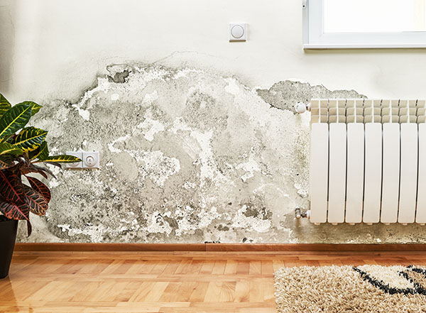 Humidité dans la maison : lutter contre les murs humides