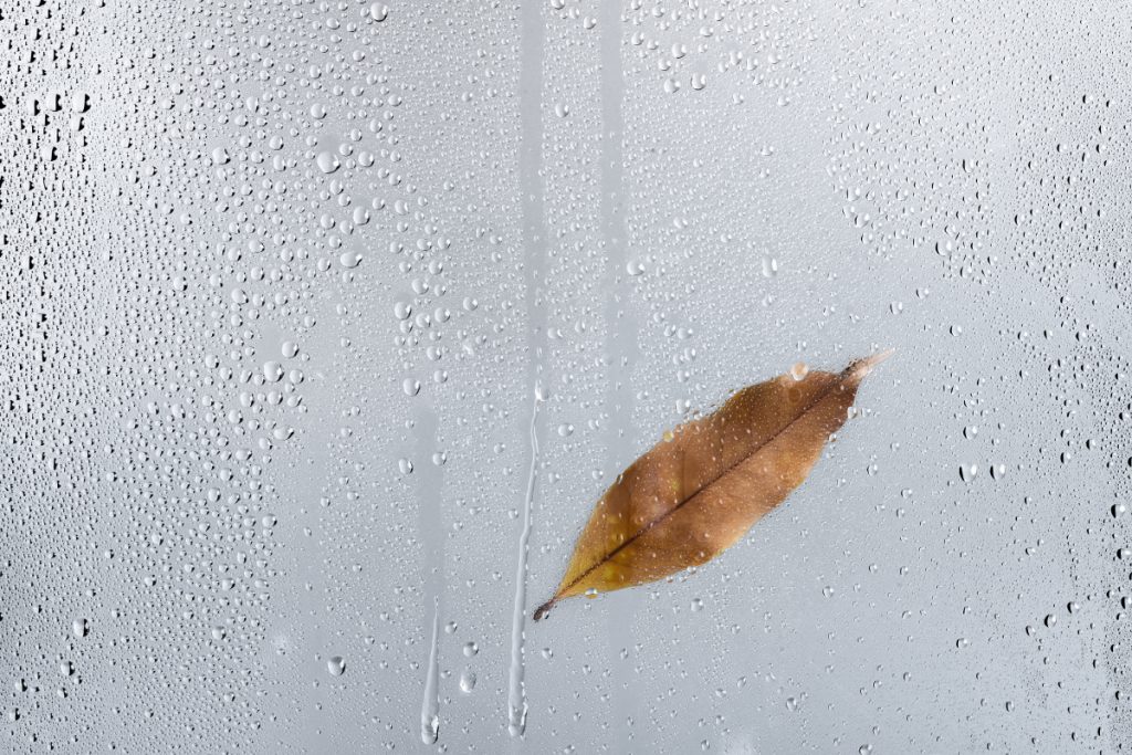 Condensation dans la pièce d'une miason à Charleroi